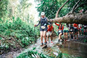 BIB: 
                            <button type="button" onclick="openModal(25516499)" class="btn btn-primary btn-sm float-right btn-popup" data-toggle="modal" data-target=".modal-high-quality">
                        <i class="fas fa-shopping-cart"></i> Add to Cart
                    </button>
                                            <button type="button" onclick="isThisMe(25516499, true)" class="btn btn-success btn-sm float-right btn-popup btn-isme hidden" data-toggle="tooltip" data-placement="bottom" title="นี่คือรูปของคุณใช่ไหม คลิกที่นี่เพื่อเอาเข้าอัลบั้ม">
                        <i class="fas fa-plus"></i> Add to album
                    </button>
                    <button type="button" onclick="isThisMe(25516499, false)" class="btn btn-warning btn-sm float-right btn-popup btn-isnotme hidden">
                        <i class="fas fa-ban"></i> Remove from album
                    </button>